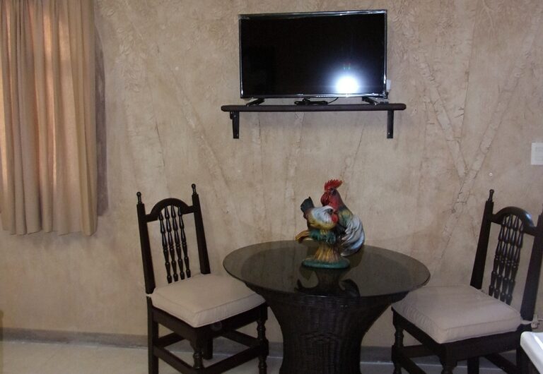 PLAZA MONTAÑA – SUITE 2