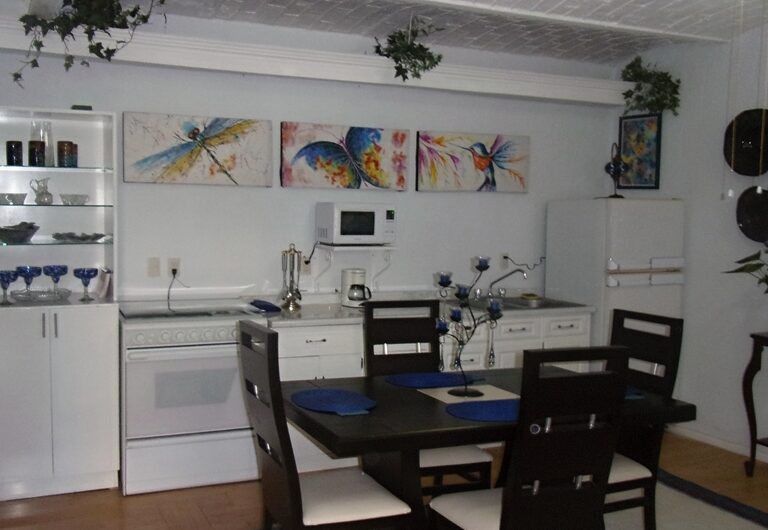 PLAZA MONAÑA – SUITE 1
